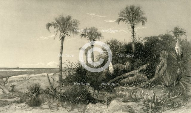 'On the Coast of Florida', 1872.  Creator: Robert Hinshelwood.