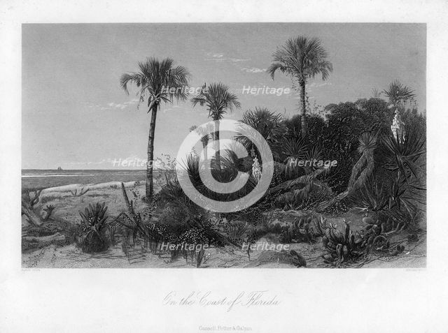 On the coast of Florida. Artist: R Hinshelwood
