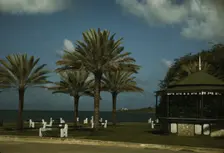 On the coast of Puerto Rico?, 1941. Creator: Jack Delano
