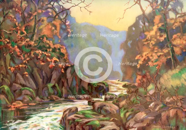 'On the Dargle, County Wicklow', Ireland, 1924-1926.Artist: Catharine Chamney