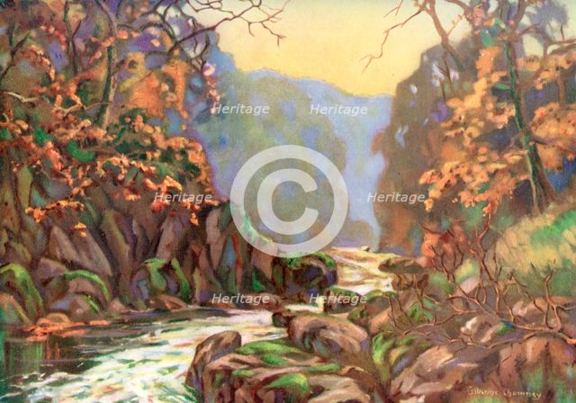 'On the Dargle, County Wicklow', Ireland, 1924-1926.Artist: Catharine Chamney