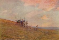 On the Downs Near Harting c1870-1906, (1906). Creator: James Aumonier