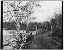 On the eleven mile Birch Drive near Ispeming [sic], Mich., c1898. Creator: Unknown