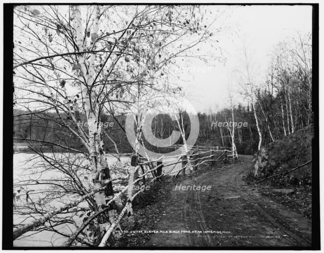 On the eleven mile Birch Drive near Ispeming [sic], Mich., c1898. Creator: Unknown.