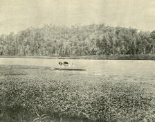 On the Enoggera Lake 1901. Creator: Unknown