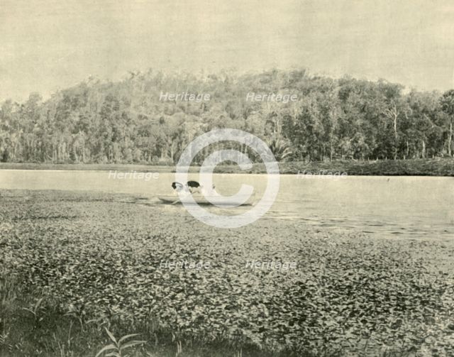 'On the Enoggera Lake', 1901. Creator: Unknown.