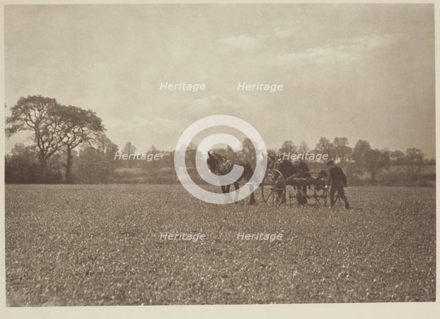 On the farm. From the album: Photograph album - England, 1920s. Creator: Harry Moult.