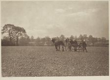 On the farm. From the album: Photograph album - England, 1920s. Creator: Harry Moult