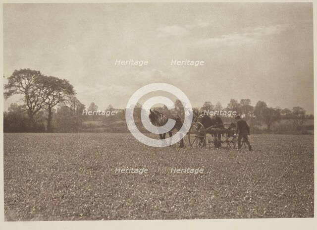 On the farm. From the album: Photograph album - England, 1920s. Creator: Harry Moult.