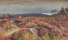 On The Heath Lytchett Minster c1904. Artist: Frederick William Newton Whitehead