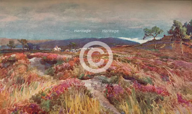 'On The Heath Lytchett Minster', c1904. Artist: Frederick William Newton Whitehead.