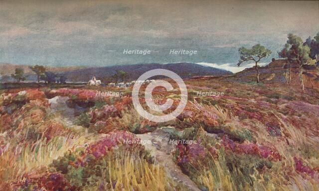 'On The Heath Lytchett Minster', c1904. Artist: Frederick William Newton Whitehead.