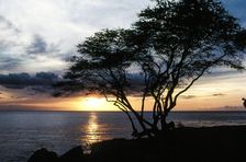 On the Horizon. Creator: Robert Manno