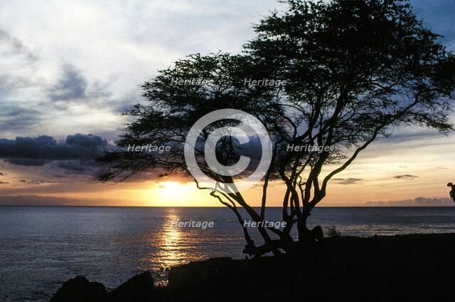 On the Horizon. Creator: Robert Manno.