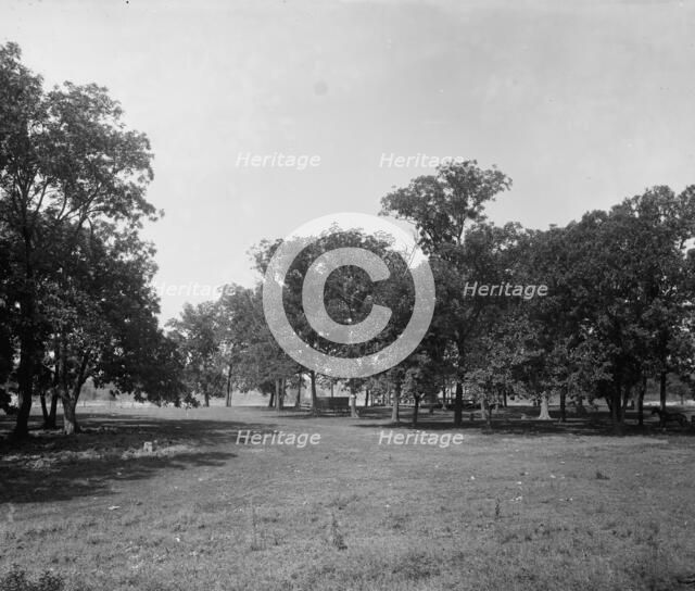 On the island [Island Park], Wilmington, Ill's., between 1900 and 1905. Creator: Unknown.