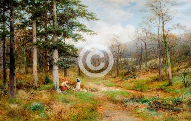 On The Long Mynd, Church Stretton, 1907. Creator: David Bates.