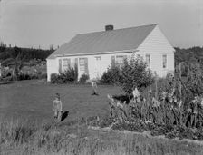 On the Longview homesteads (FSA) initiated in 1934, Cowlitz County, Washington, 1939. Creator: Dorothea Lange