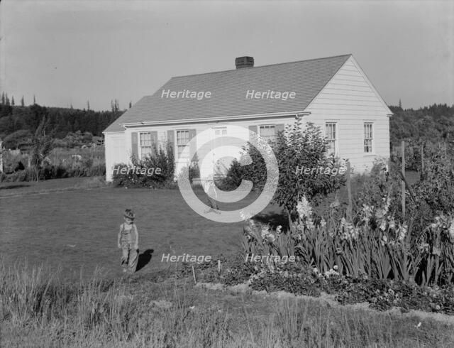 On the Longview homesteads (FSA) initiated in 1934, Cowlitz County, Washington, 1939. Creator: Dorothea Lange.