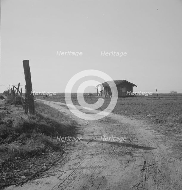 On the plains west of Fresno, California, 1939. Creator: Dorothea Lange.