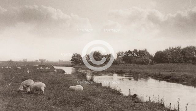 On the River Bure, 1886. Creator: Peter Henry Emerson.