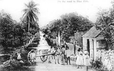On the road to Blue Hills, Bahamas, c1900s