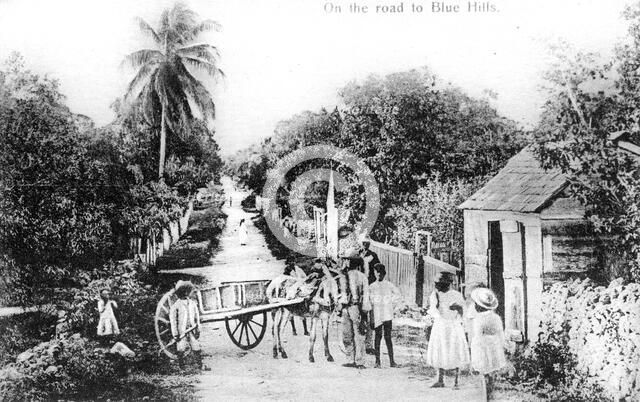 On the road to Blue Hills, Bahamas, c1900s. Artist: Unknown