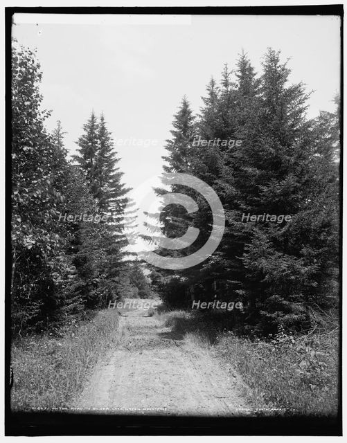 On the road to Silver Lake, Green Mountains, between 1900 and 1906. Creator: Unknown.