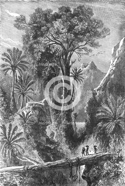 'On the Road to Tananarivo; Recent Explorations in Madagascar', 1875. Creator: Alfred Grandidier.