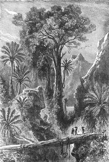 On the Road to Tananarivo; Recent Explorations in Madagascar 1875. Creator: Alfred Grandidier