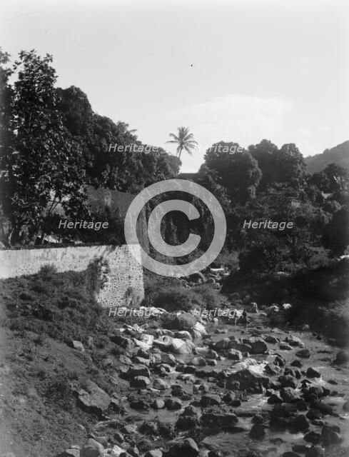On the road to the Botanical Gardens, Martinique, W.I., between 1880 and 1901. Creator: Unknown.