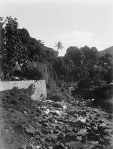On the road to the Botanical Gardens, Martinique, W.I., between 1880 and 1901. Creator: Unknown