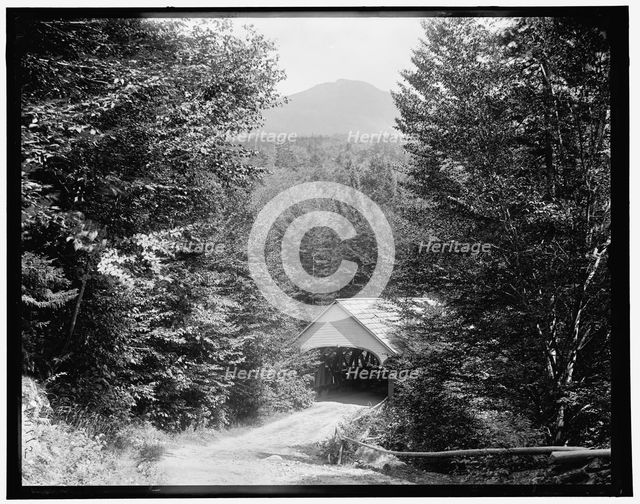 On the road to the flume, Franconia Notch, White Mountains, c1900. Creator: Unknown.