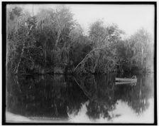 On the St. Johns at Buffalo Bluff, between 1880 and 1897. Creator: William H. Jackson
