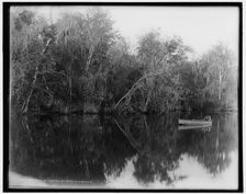On the St. Johns at Buffalo Bluff, between 1880 and 1897. Creator: William H. Jackson