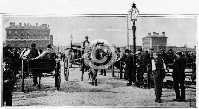 On the stones, Islington Cattle Market, London, c1902 (1903). Artist: Unknown.