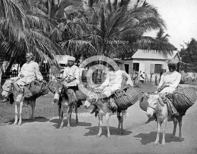 On the way home from market, Jamaica, c1905.Artist: Adolphe Duperly & Son