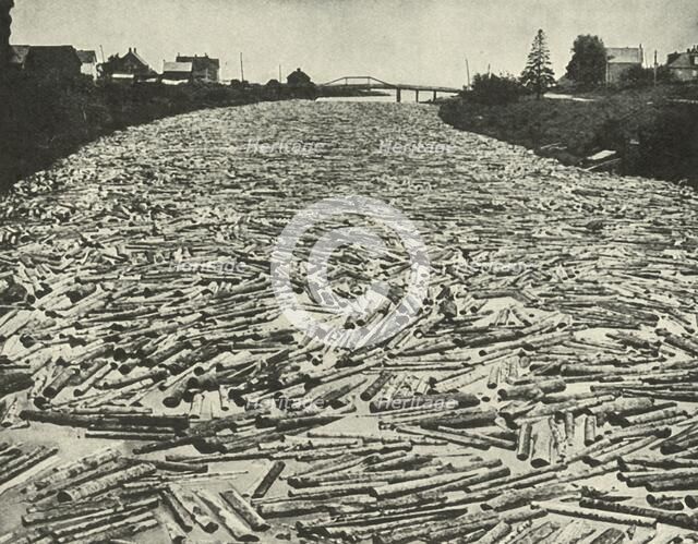 'On their Way to the Saw Mills', c1948. Creator: Unknown.