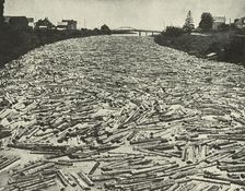 On their Way to the Saw Mills c1948. Creator: Unknown