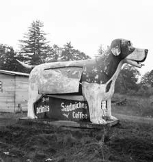 On U.S. 99 as it continues through Oregon, Lane County, Williamette Valley, Oregon, 1939. Creator: Dorothea Lange