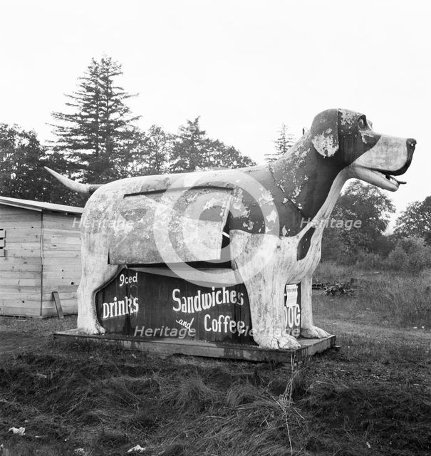 On U.S. 99 as it continues through Oregon, Lane County, Williamette Valley, Oregon, 1939. Creator: Dorothea Lange.