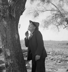 On U.S. 99 between Bakersfield and the Ridge, en route to San Diego, 1939. Creator: Dorothea Lange