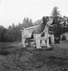 On U.S. 99 as it continues through Oregon, Lane County, Williamette Valley, Oregon, 1939. Creator: Dorothea Lange