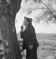 On U.S. 99 between Bakersfield and the Ridge, en route to San Diego, 1939. Creator: Dorothea Lange