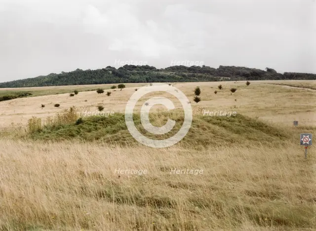 One of a group of almost 30 barrows on Snaildown, Wiltshire, 1999. Artist: IJ Leonard