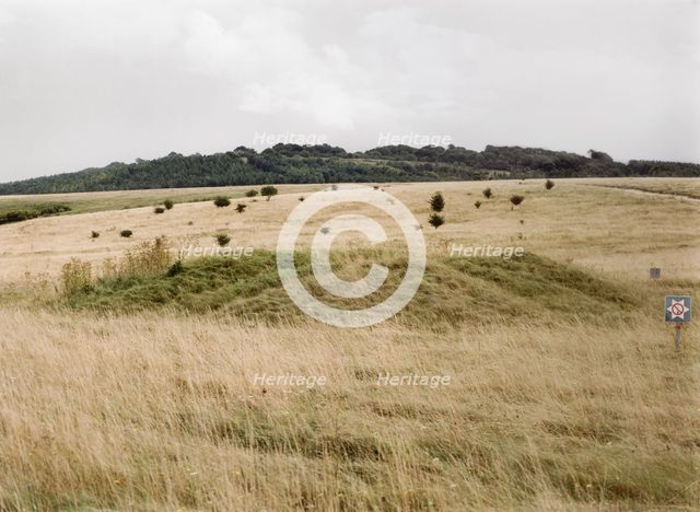 One of a group of almost 30 barrows on Snaildown, Wiltshire, 1999. Artist: IJ Leonard