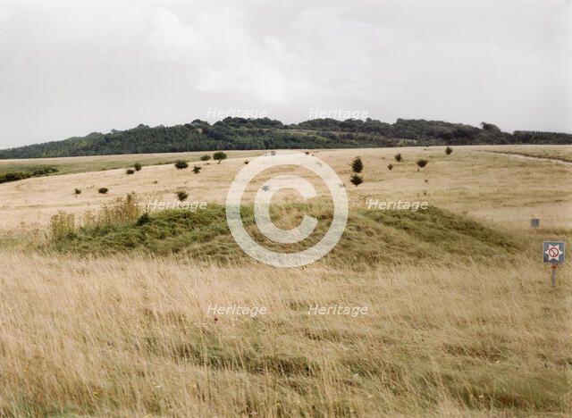 One of a group of almost 30 barrows on Snaildown, Wiltshire, 1999. Artist: IJ Leonard