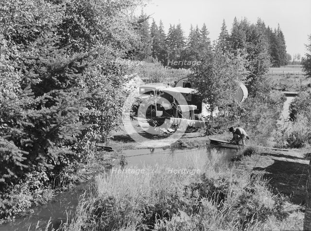 One of a dozen or more small bean pickers camps in immediate..., near West Stayton, Oregon, 1939. Creator: Dorothea Lange.
