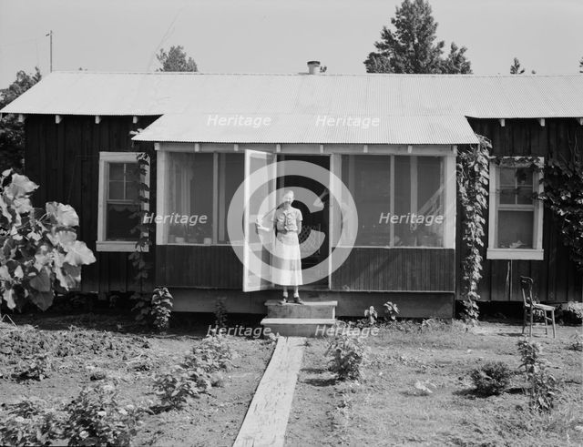 One of Delta cooperative farmsteads after a year of operation, Hillhouse, Mississippi, 1937. Creator: Dorothea Lange.
