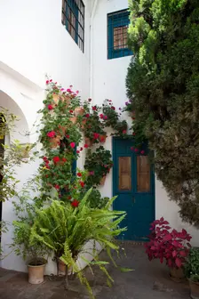 One of the 12 Gardens at the Renaissance Palacio de Viana, Cordoba, Spain, 2023. Creator: Ethel Davies
