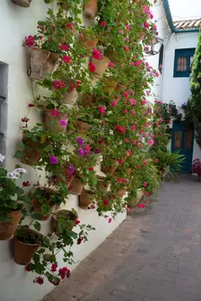 One of the 12 Gardens at the Renaissance Palacio de Viana, Cordoba, Spain, 2023. Creator: Ethel Davies